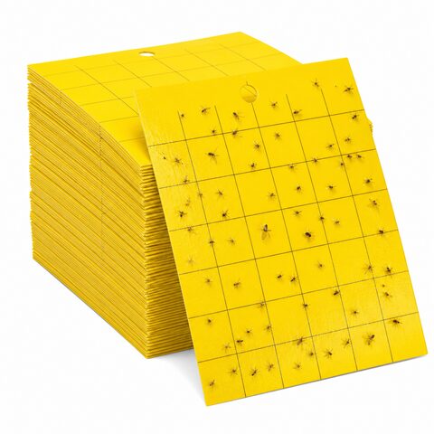 Yellow sticky insect cards